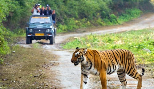 jimcorbett.jpg